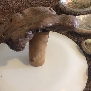 Home made drift wood garden mussroom